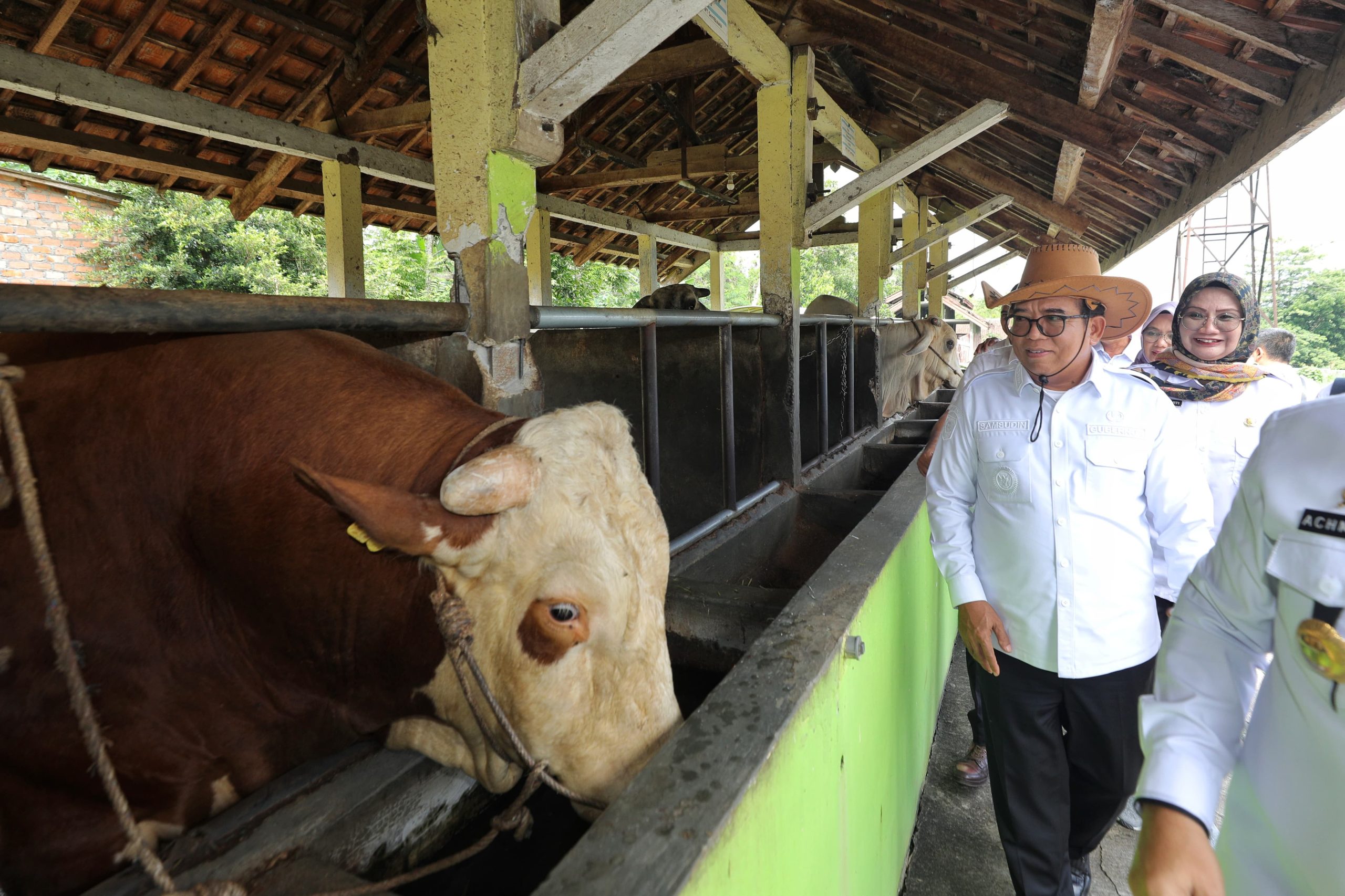 Kunjungan Pj Gubernur ke Kandang Sapi Disnakeswan